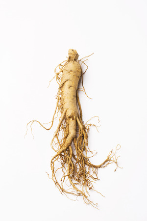 Ginsengの写真素材