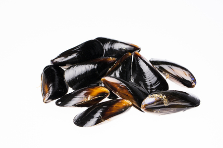 Seafoodの写真素材