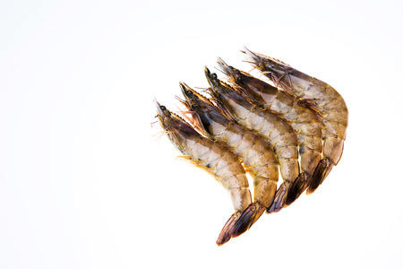 Seafoodの写真素材