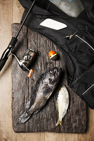 Seafoodの写真素材