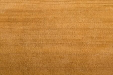 Texture Background