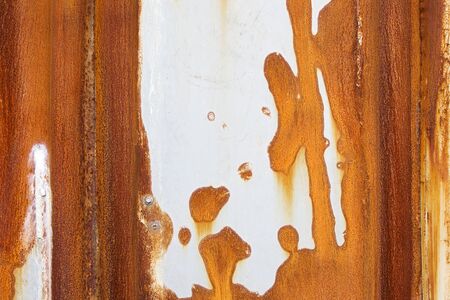Texture Background