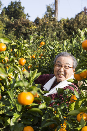 Asian Elderly, Senior Lifestyleの写真素材