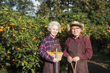 Asian Elderly, Senior Lifestyleの写真素材