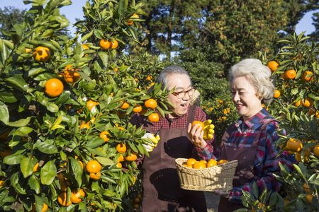 Asian Elderly, Senior Lifestyleの写真素材