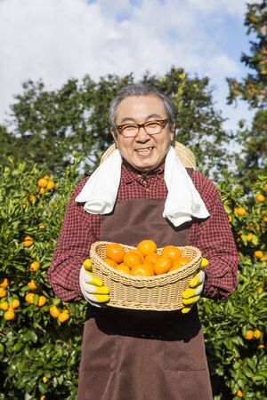 Asian Elderly, Senior Lifestyleの写真素材