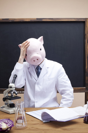 Dietitian wearing a pig maskの写真素材
