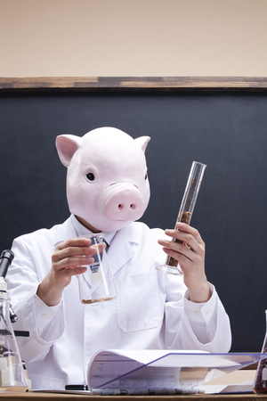 Dietitian wearing a pig maskの写真素材