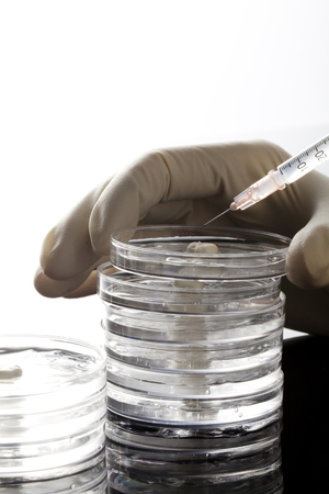 Petri Dishesの写真素材