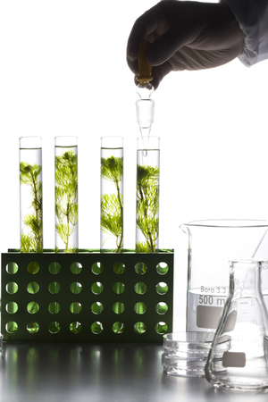Laboratory testingの写真素材