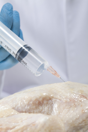 GMO chickenの写真素材