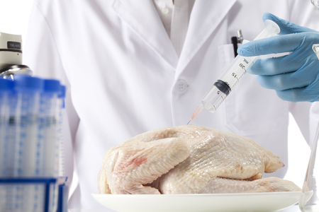 GMO chickenの写真素材