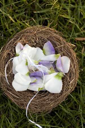 Wedding Rings Inside A Basketの写真素材