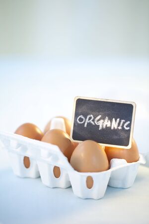 Brown Organic Eggs In A Mini Egg Cartonの写真素材
