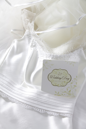 Close-Up Of The Wedding Dressの写真素材