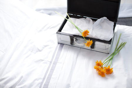 Indoor Shot Of Flowersの写真素材