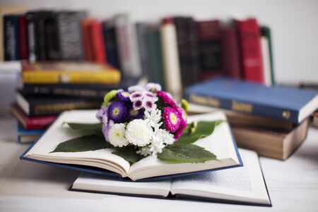 Indoor Shot Of Flowersの写真素材