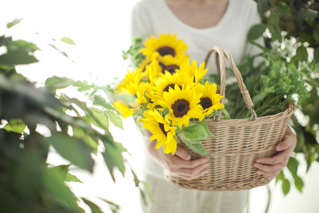 Indoor Shot Of Flowersの写真素材