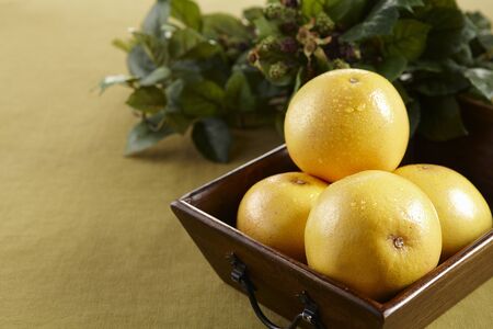 Grapefruits In A Square Bowlの写真素材