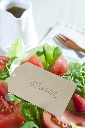 Healthy Organic Saladの写真素材