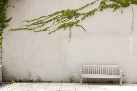 Ivy and benches, Seoulの写真素材