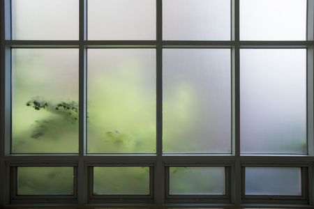 Ginkgo reflected in windowsの写真素材