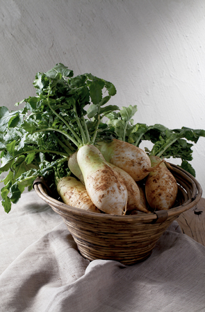 White Radish Shot Insideの写真素材