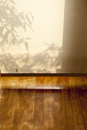 Shadow of bamboo blinds.の写真素材