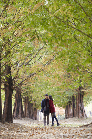 Fall Romanceの写真素材