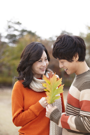 Fall Romanceの写真素材
