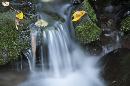 South Korea, Gangwon-do, Moss valley, Stream - Flowing Water,の写真素材