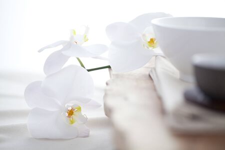 Tea Cup Up-Closeの写真素材