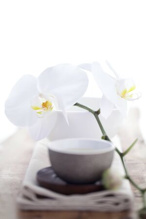 Tea Cup Up-Closeの写真素材