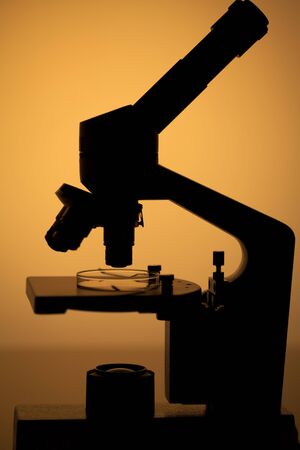 Microscope In The Darkの写真素材