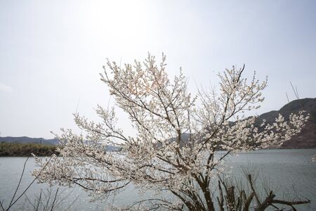 South Korea Gyeongsangnam-doの写真素材