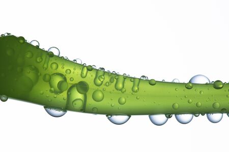 Toothbrush Up-Closeの写真素材