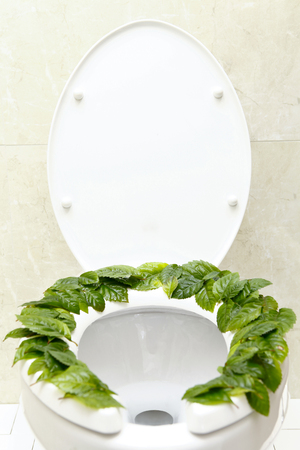 Bathroom Toilet Decorated With Plantsの写真素材