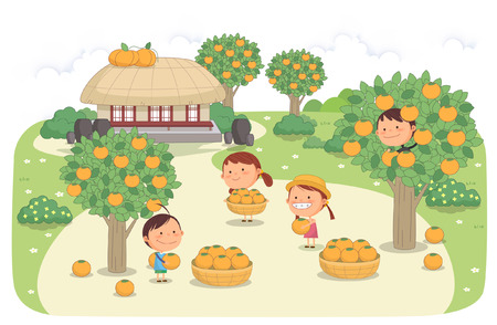 Jeju Promotion Vector Illustrationのイラスト素材