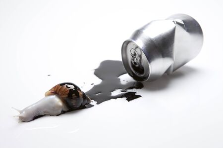 A Snail And A Crumpled Can With Black Ink Flowing Out Of Itの写真素材