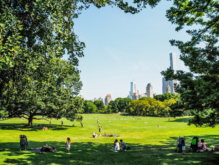Central Park, New York, USAの写真素材