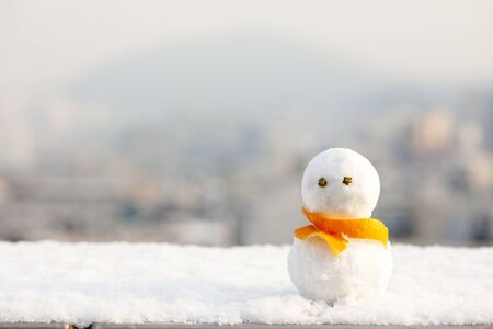 snowman,の写真素材