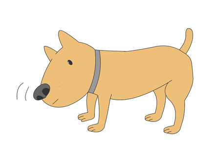Service dog vector illustration.のイラスト素材