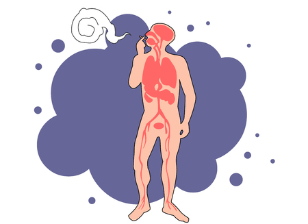 Body anatomyのイラスト素材