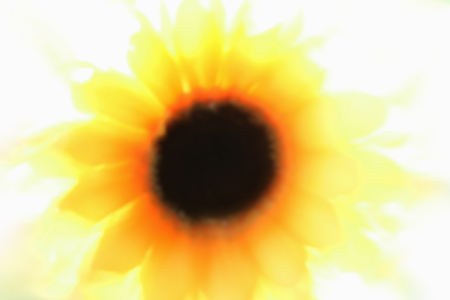 Flowerの写真素材