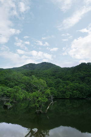 Main Producing Areasの写真素材