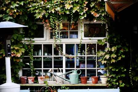 Windowsの写真素材