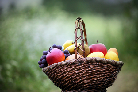 Fruitの写真素材
