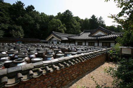 Misoのeditorial素材