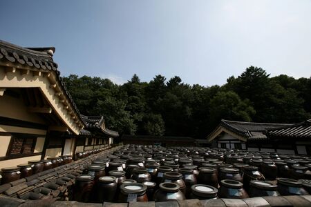 Misoのeditorial素材