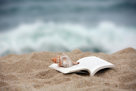 open book and shell on the beachの写真素材